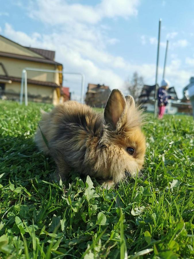 Kłabuk Apartment Bialka Tatrzanska Bagian luar foto